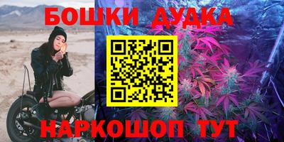 ешки Дубна