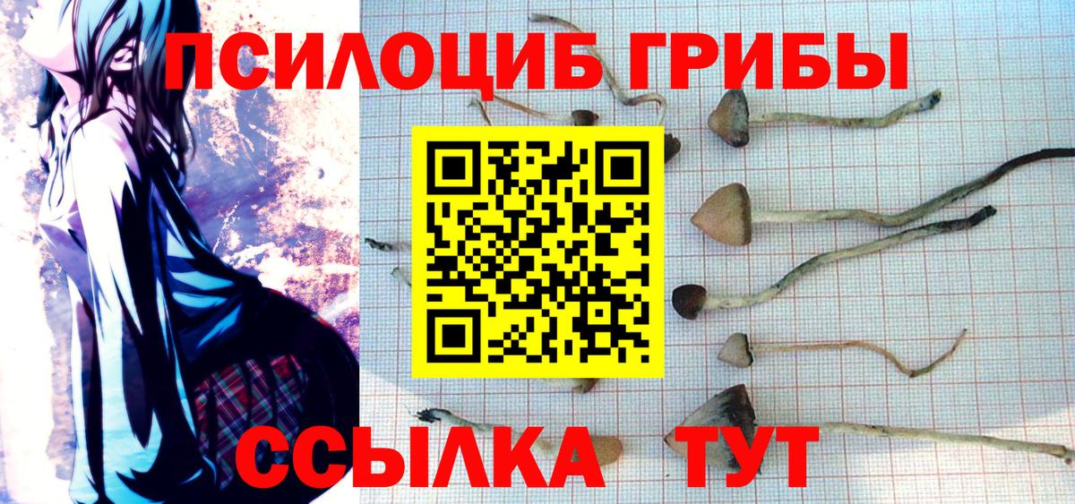 Галлюциногенные грибы Psilocybe Малоярославец